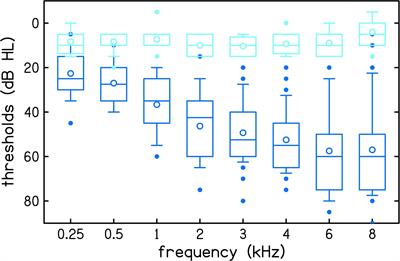 Maximum Expected Information Approach for Improving Efficiency of Categorical Loudness Scaling